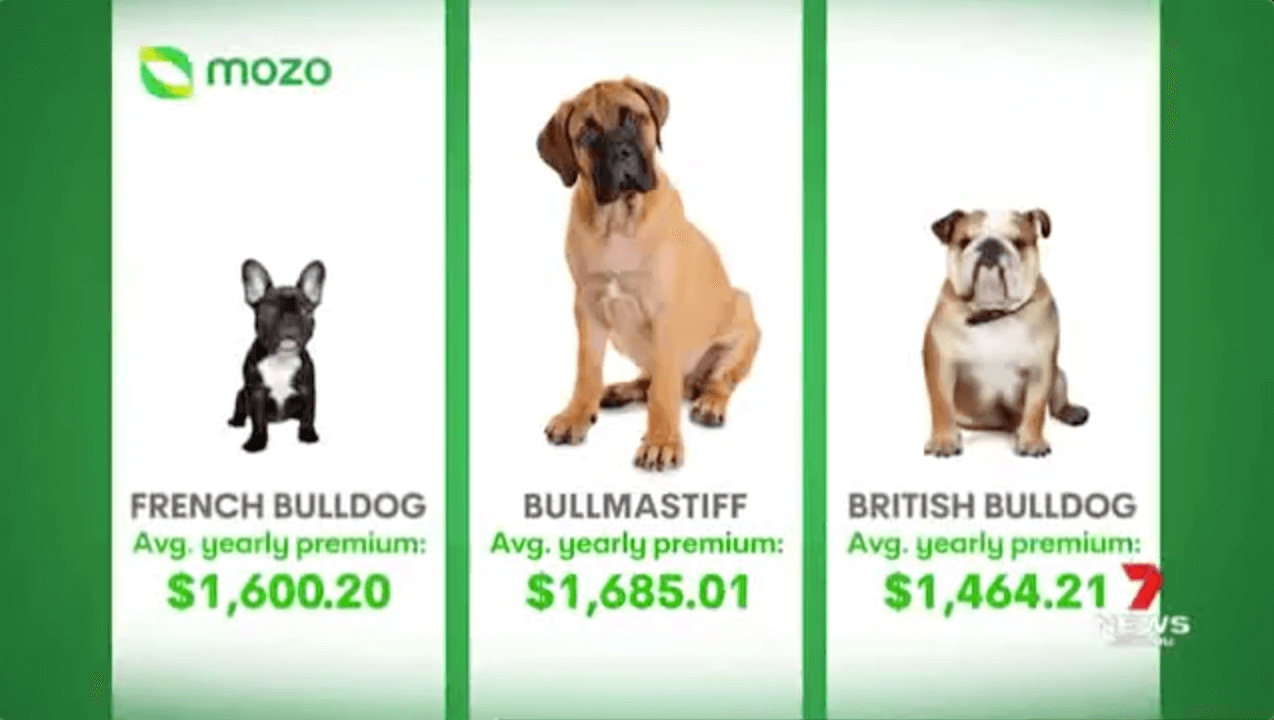 thumbnail video of Pricey Pet Premiums