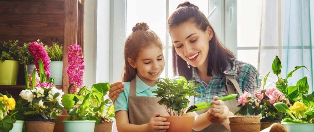 Mother daughter plants content