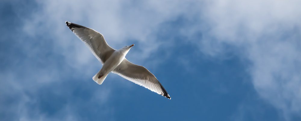 Energy birds eye view content