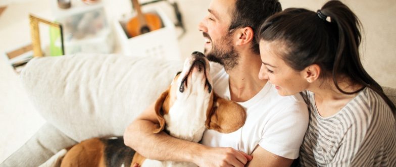 Home loan offers content