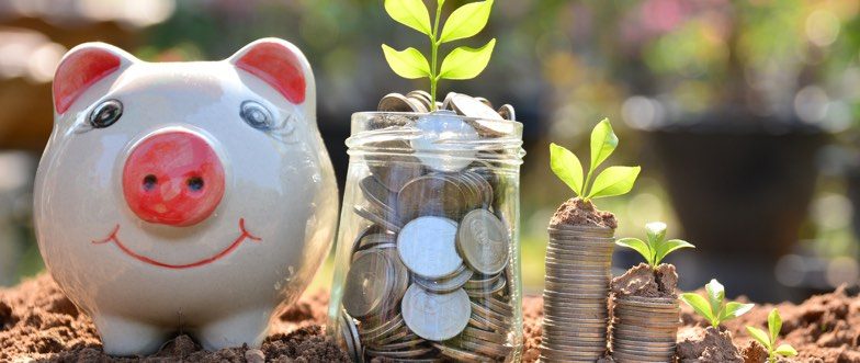 Piggy bank savings content