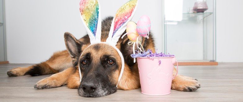 Easter term deposit content