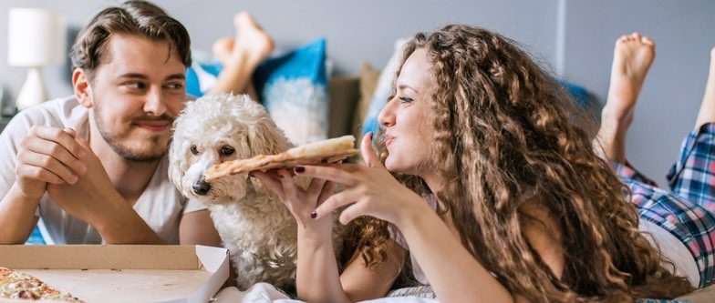 Couple eating take away pizza content