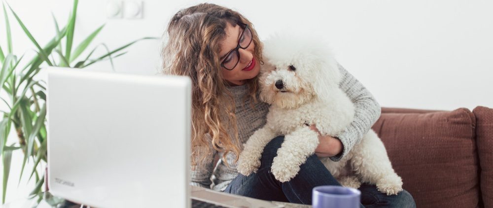 Commbank cc spend content