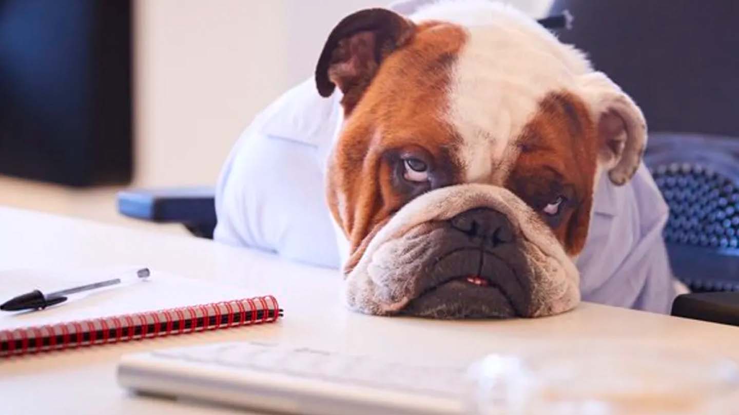 Aussies are wasting an average of 1403 a year because of boredom content
