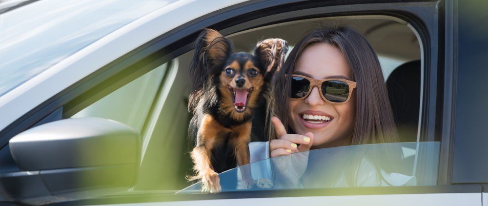 Car loans content