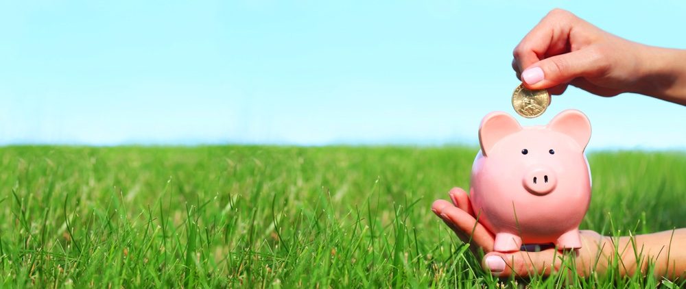 Piggybank spring finances green content