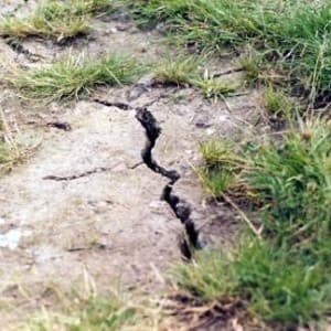 NZ quake could push insurance premiums up