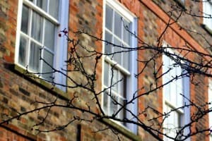 Interest rates 'have been neutralised as a deterrent for house buyers'