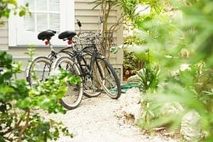 Cycling rather than driving 'can leave more cash to put in savings accounts'