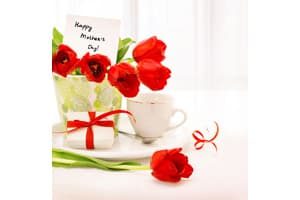 Mothers Day gifts bought on credit card.