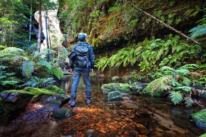 Most Aussies who bushwalk prefer to holiday outdoors