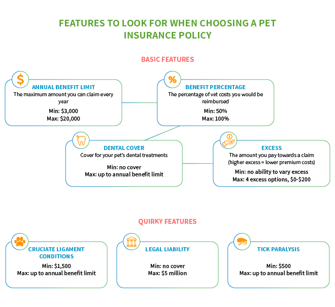 Features to look for when choosing a pet insurance policy Features to look for when choosing a pet insurance policy