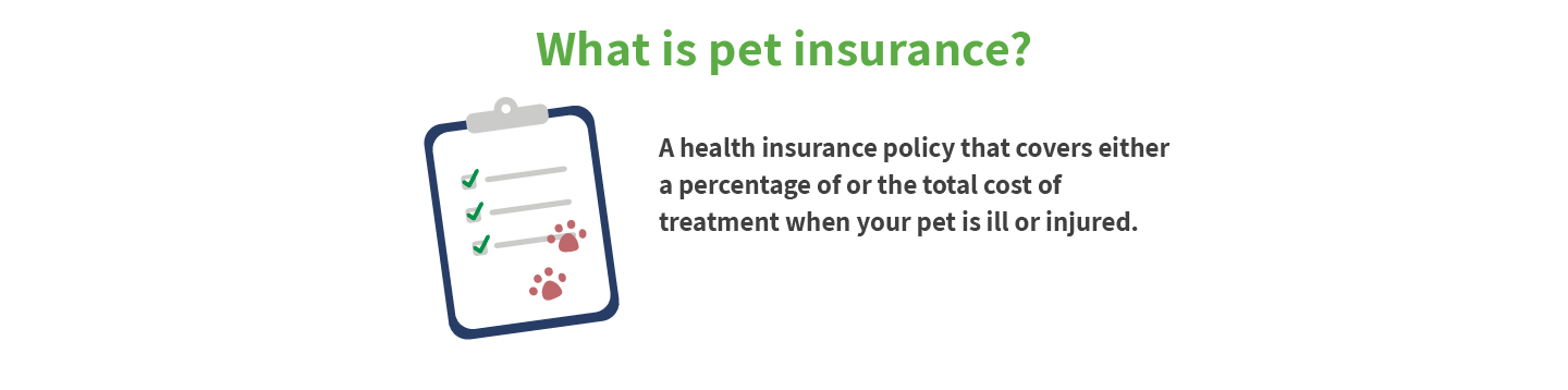 What is pet insurance?