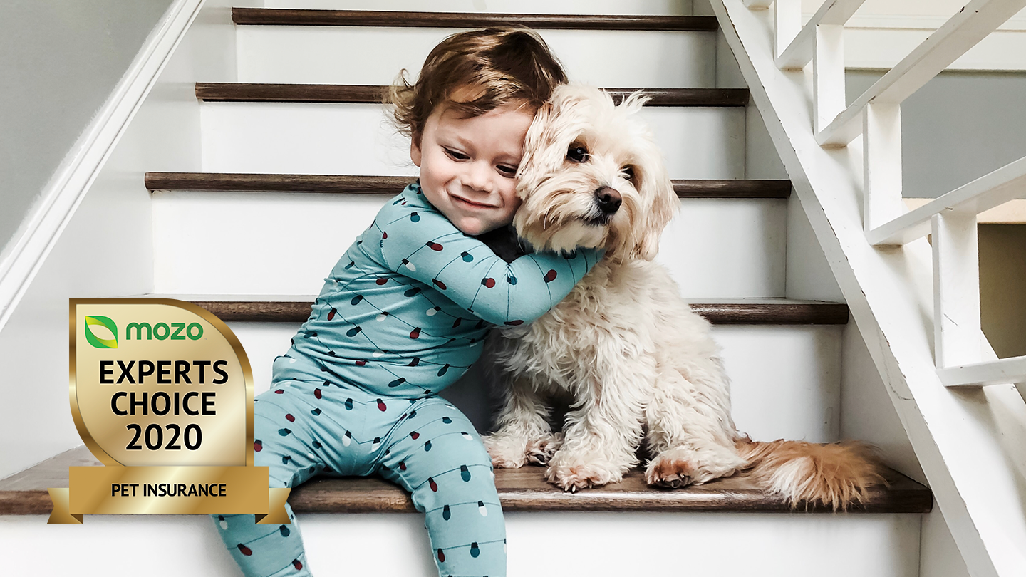 Toddler sitting on a stairwell, hugging their pet dog. There is a graphic image in the corner of the Mozo Experts Choice 2020 badge for Pet Insurance.