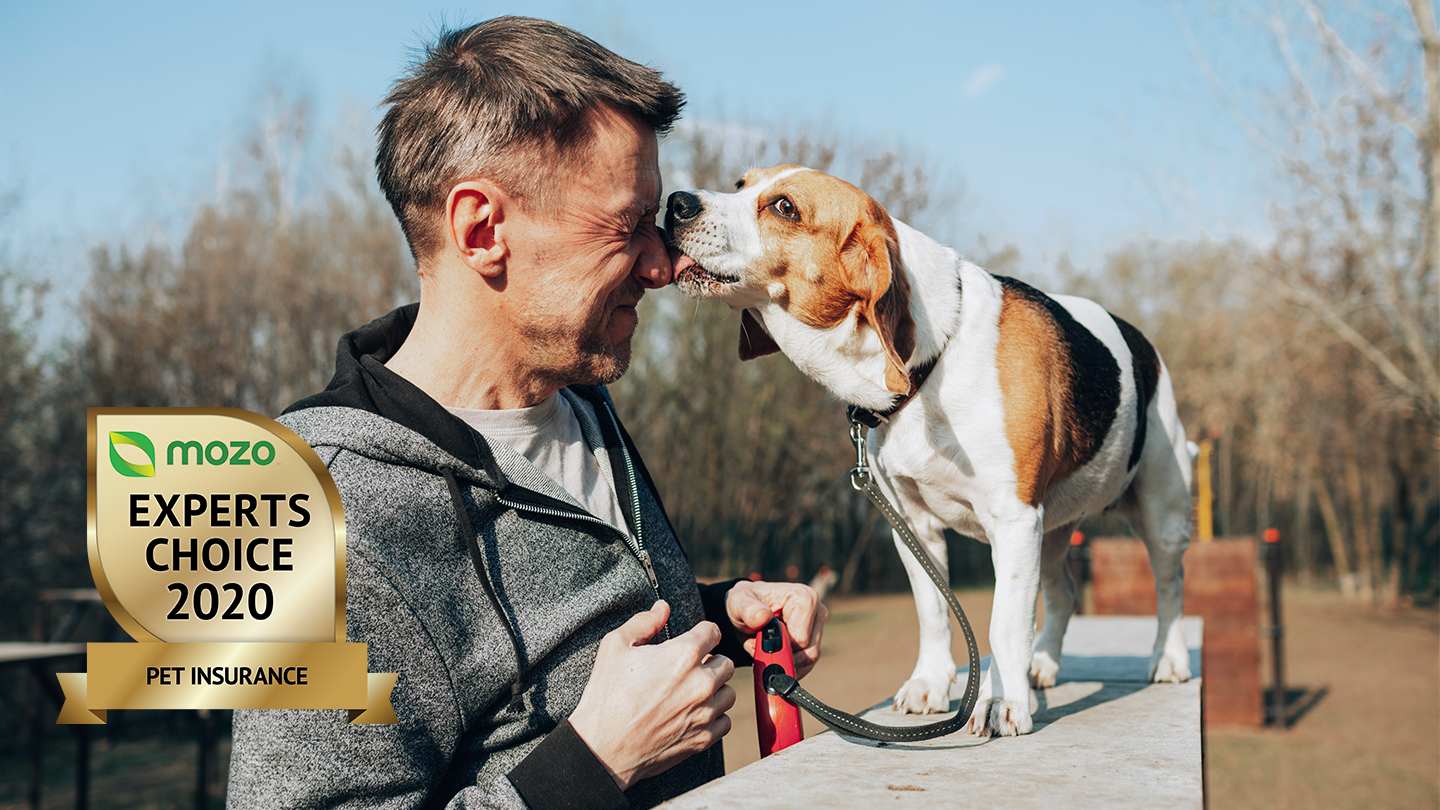 Dog standing on a wall, licking a man's face. Graphic image in the corner of the Mozo Experts Choice 2020 badge for Pet Insurance.