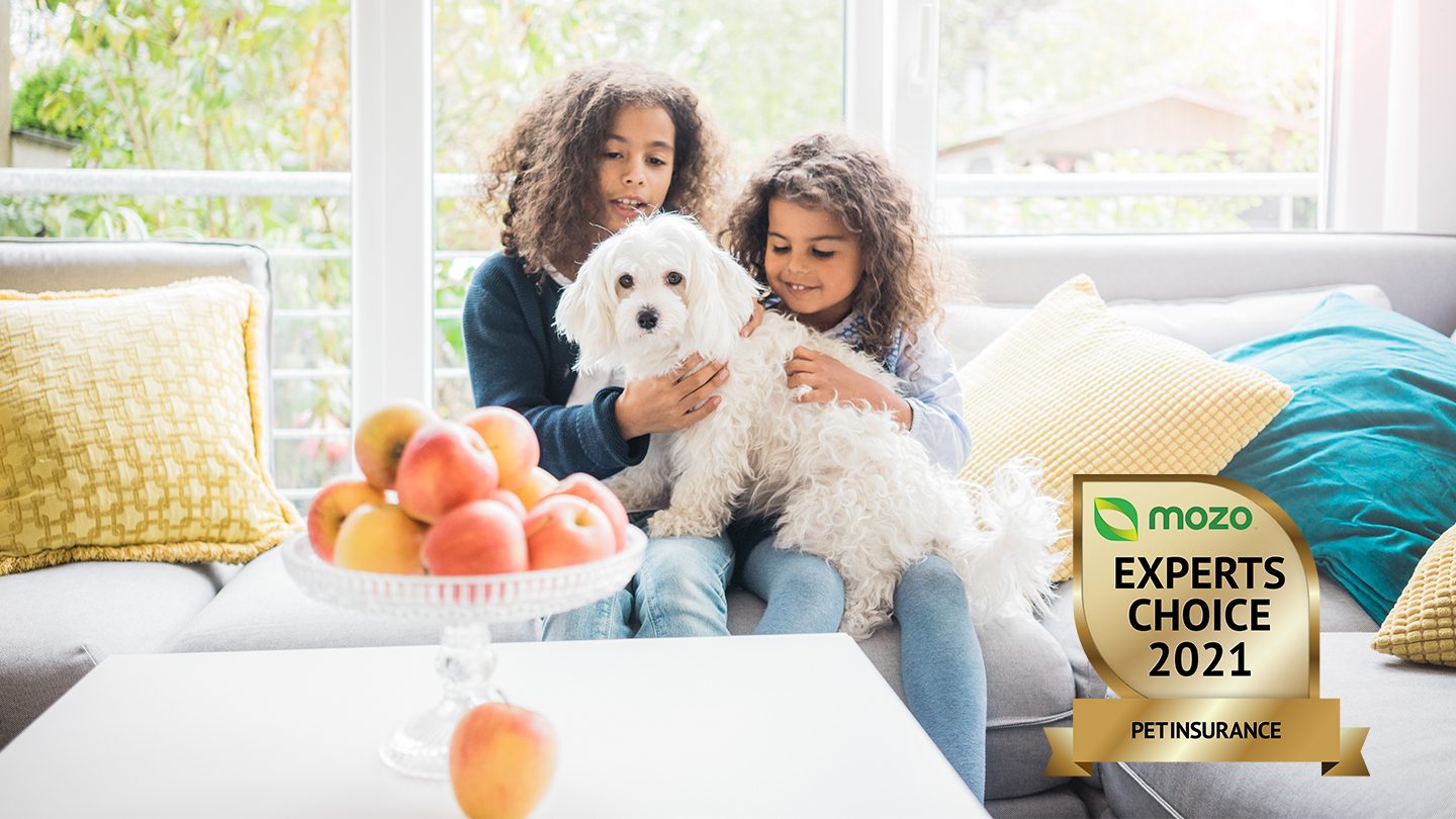 Two children sit on sofa, playing with fluffy white dog.