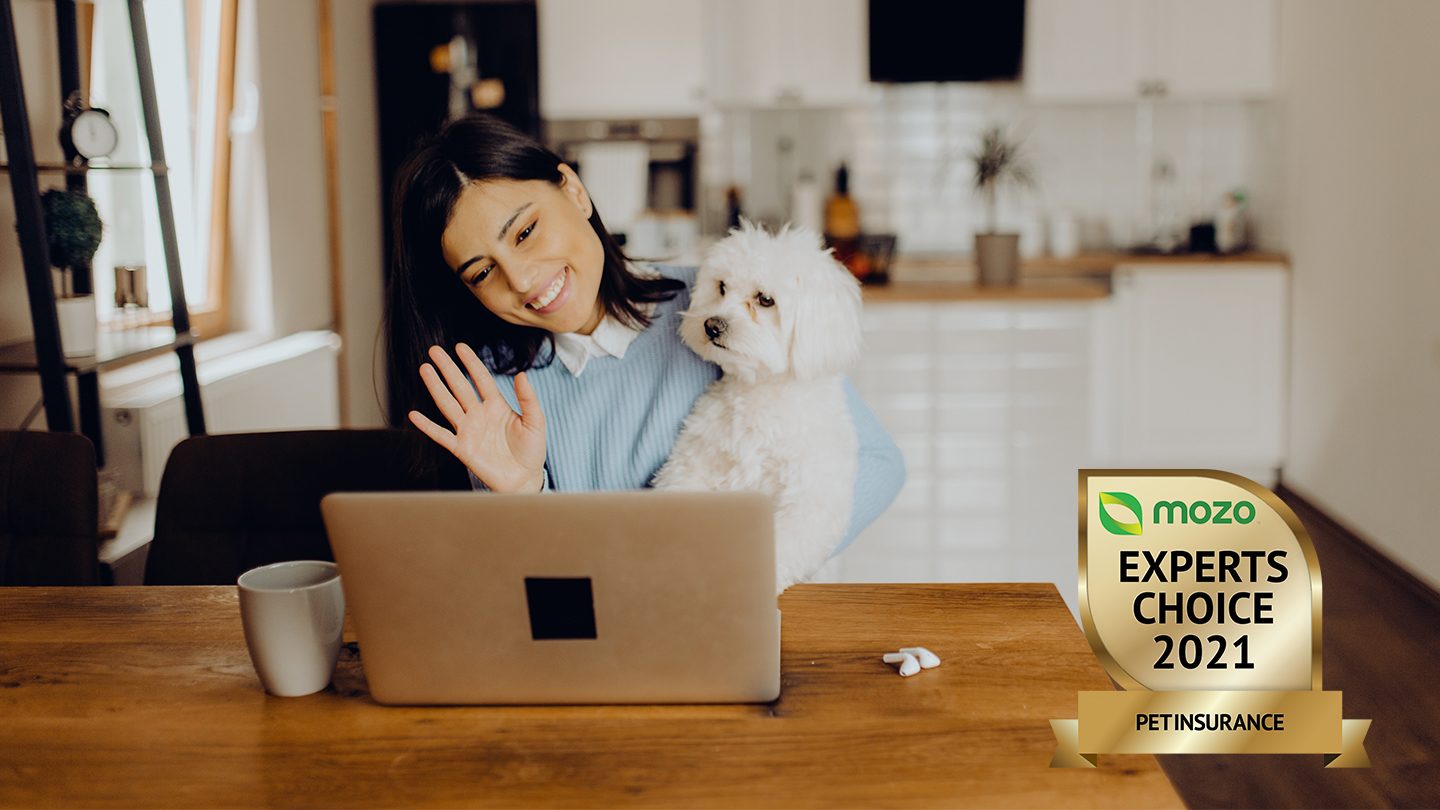 Woman at laptop with dog