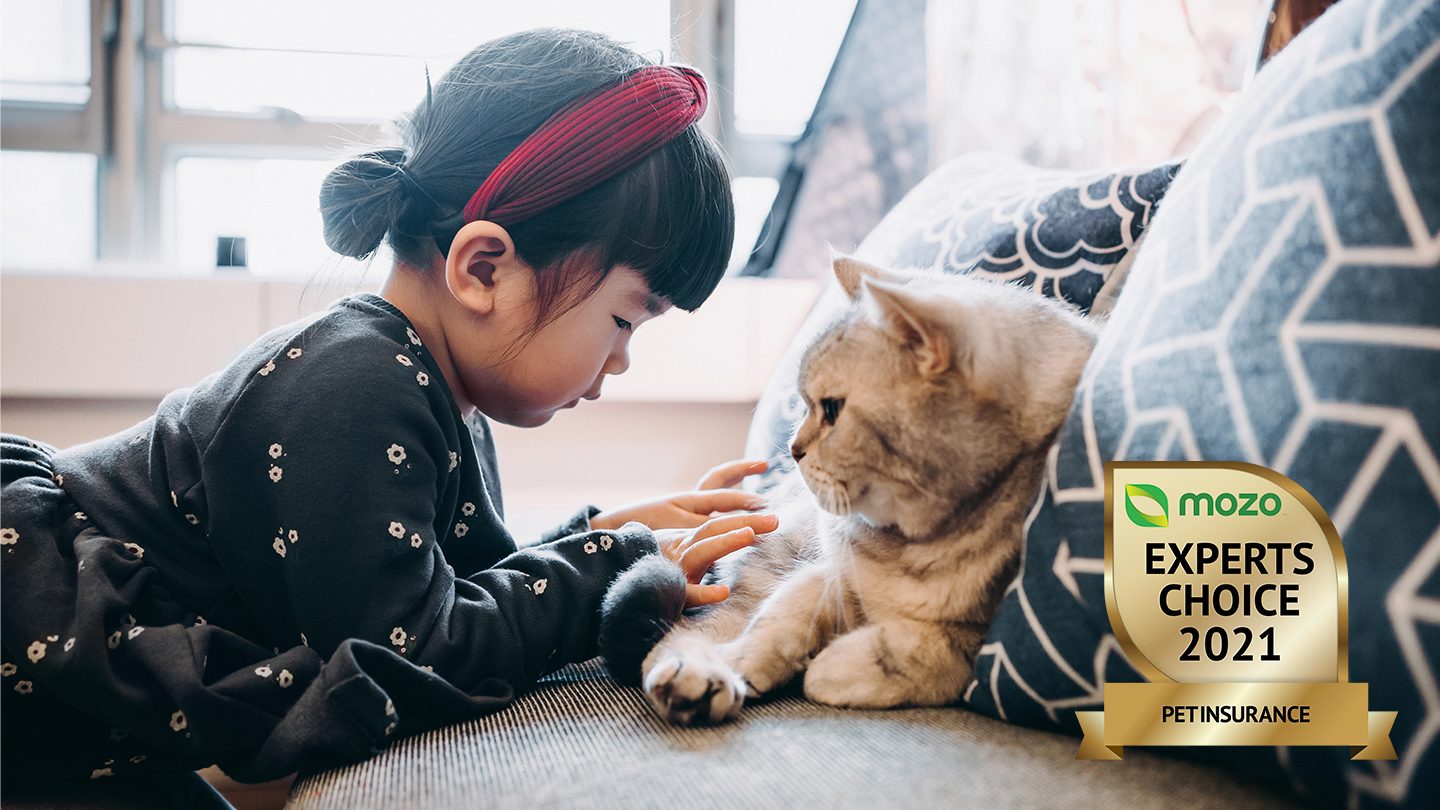 Little girl with ginger cat