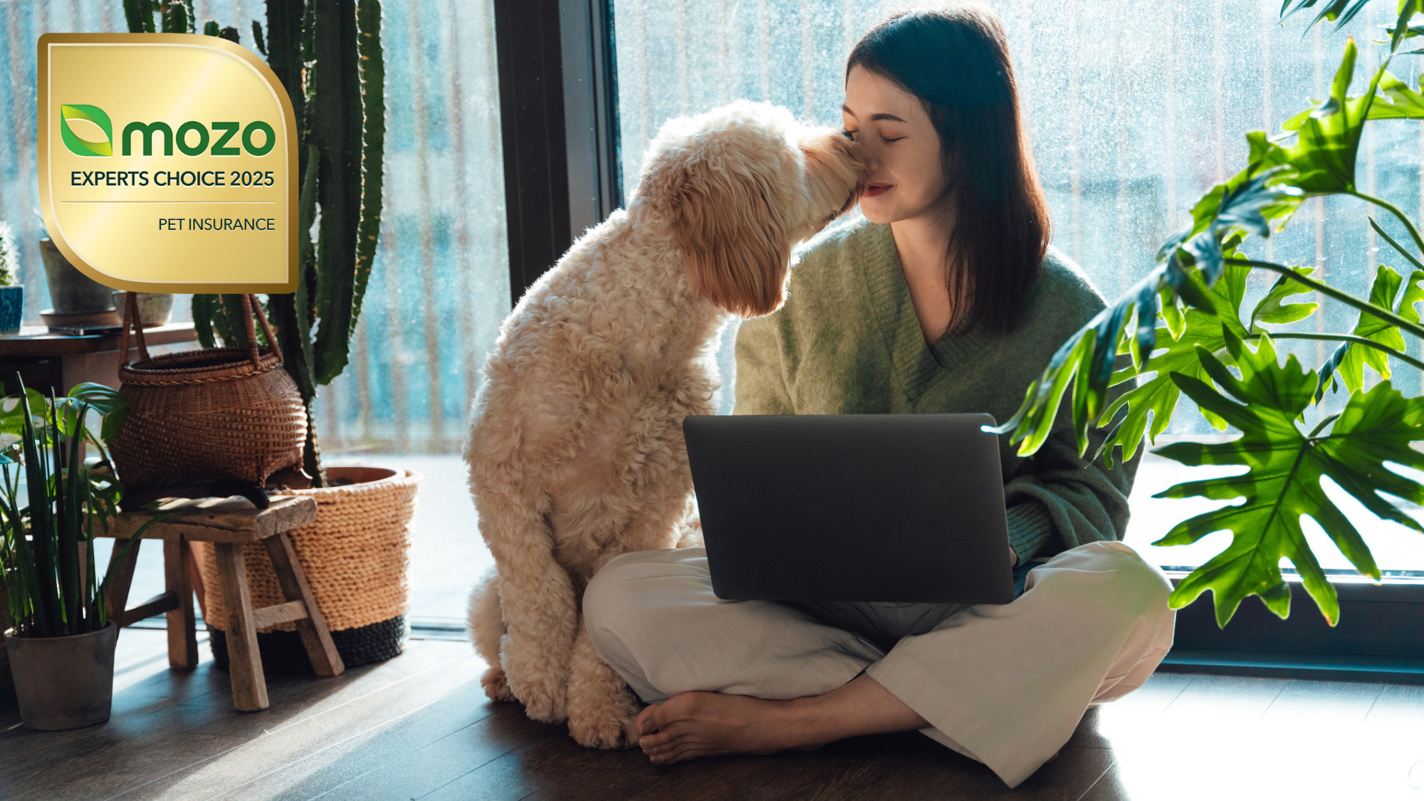 Woman sitting on the ground of her plant-filled apartment, getting smooches from her large fluffy dog.