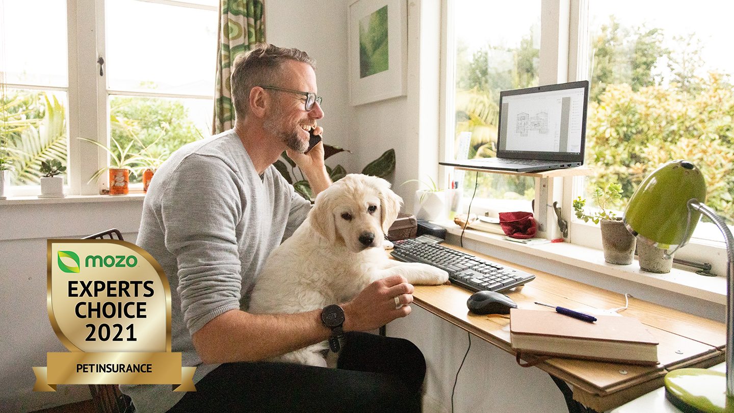 Man sits at desk, speaking on a phone and smiling with a cute, fluffy dog on his lap.