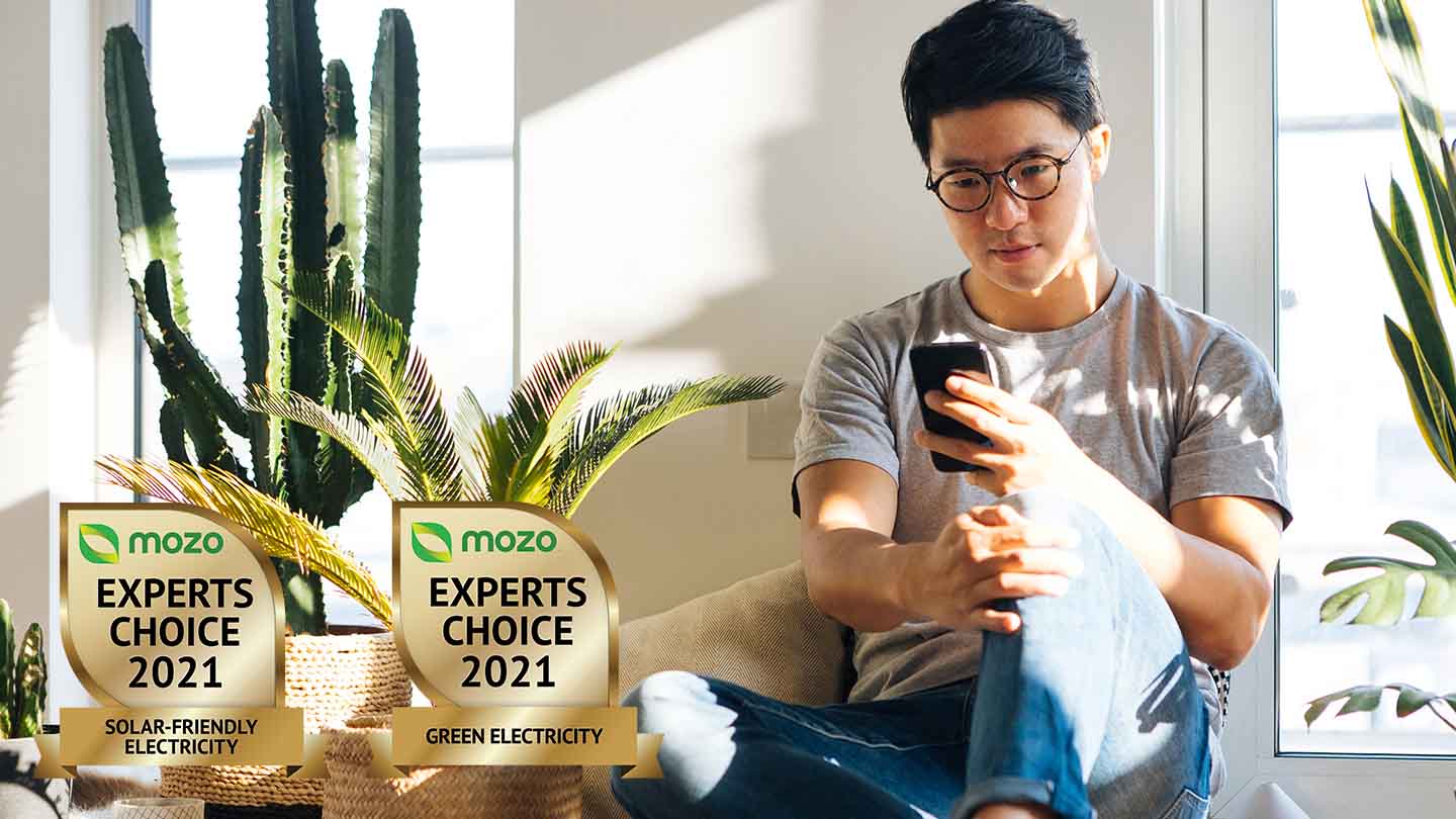 MECA solar-friendly and green electricity