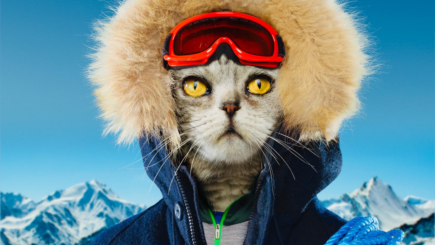 A cat dressed as a snow adventurer. Himalayas background.