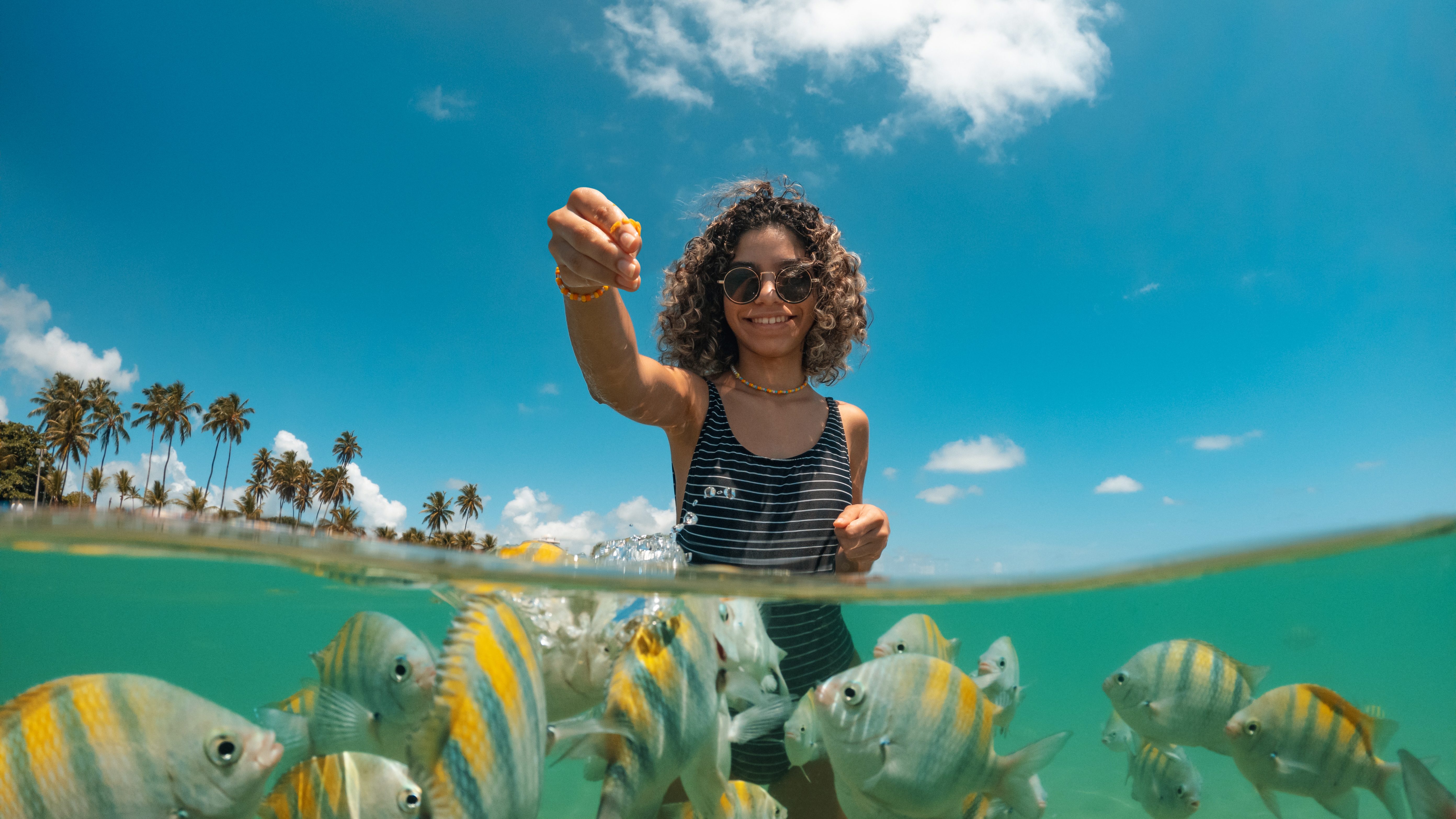 Travel - feeding fish