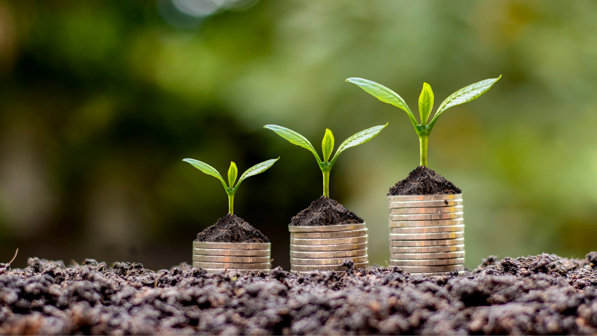 How much money should I save for retirement? Superannuation targets by age.