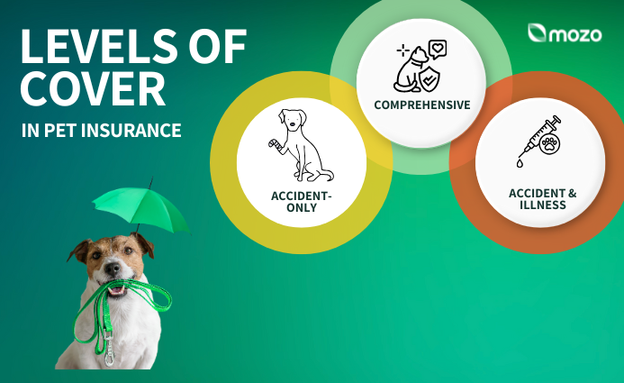 Infographic showing the three main levels of pet insurance cover. 