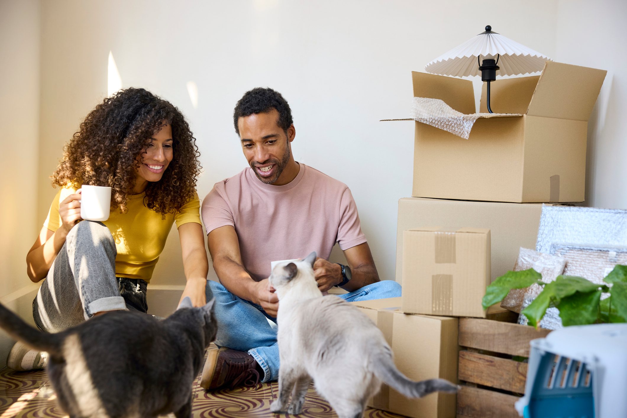 Mozo Money Moves: Fixed rates fall below 5%, term deposits tumble, NAB offer a game changer for first-home buyers and more