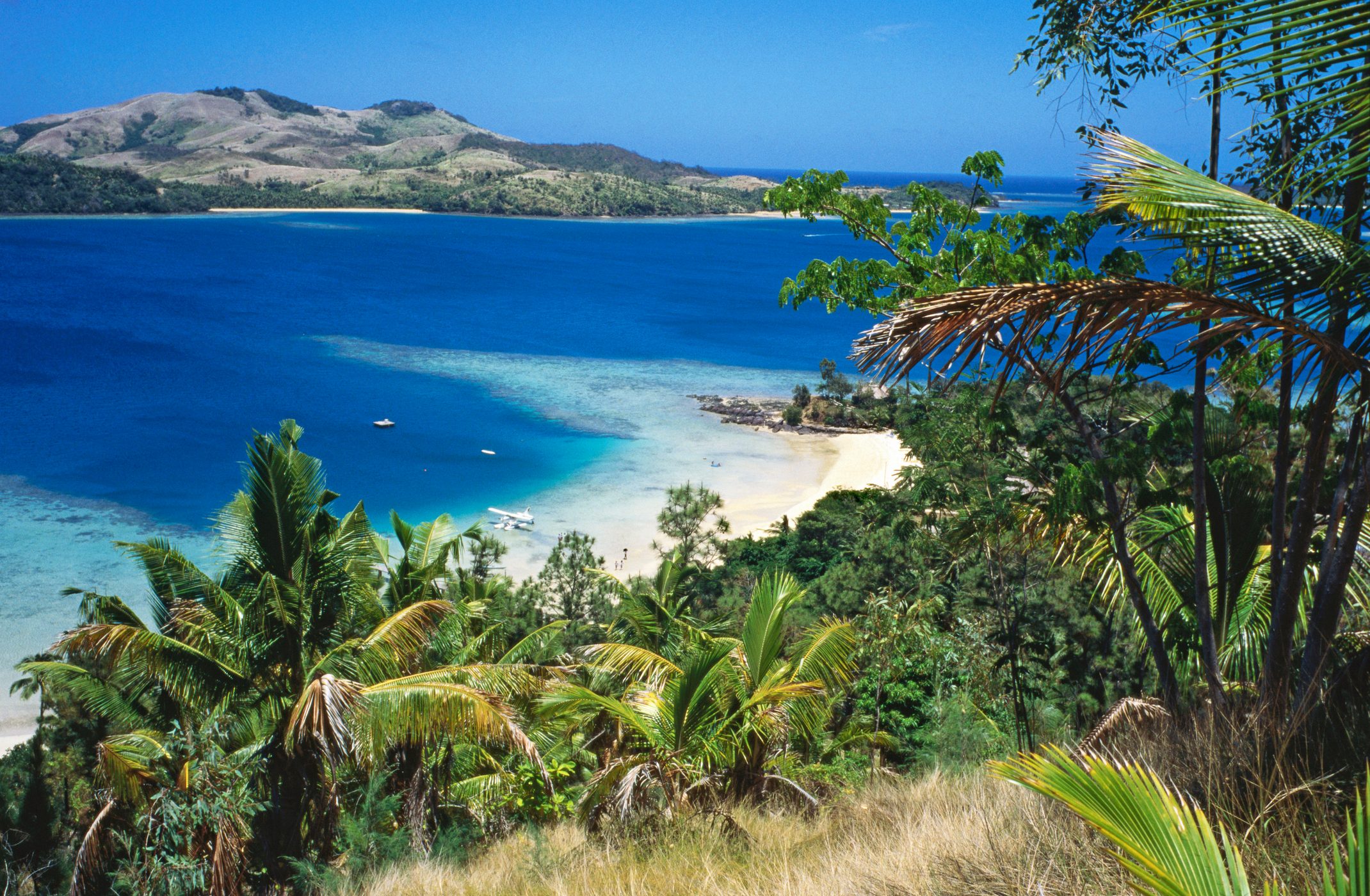 Overhead of beach and palm trees at Turtle Island Resort in Fiji