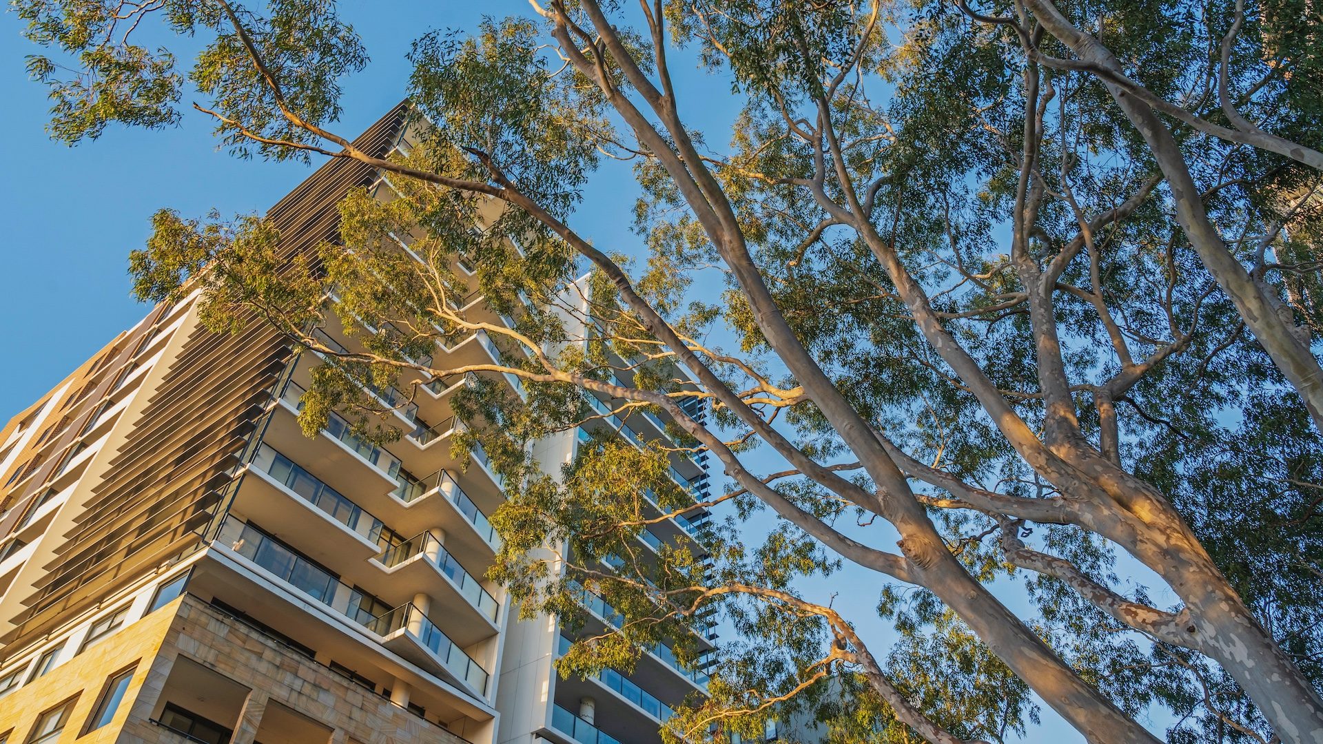 Fixed home loans falling as another 12 lenders drop rates below 5%