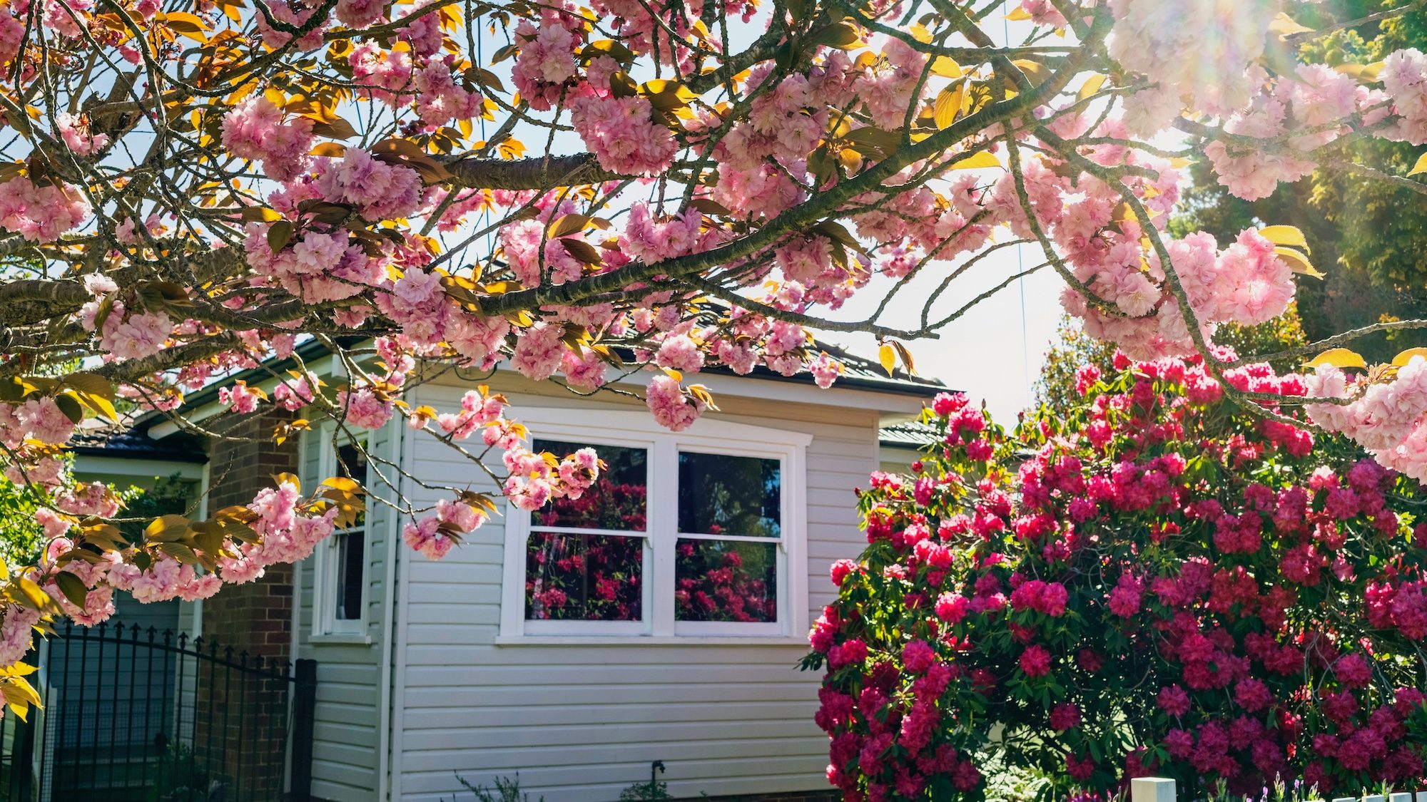 I track home loans for a living – here are the top 6 features I want from my first mortgage