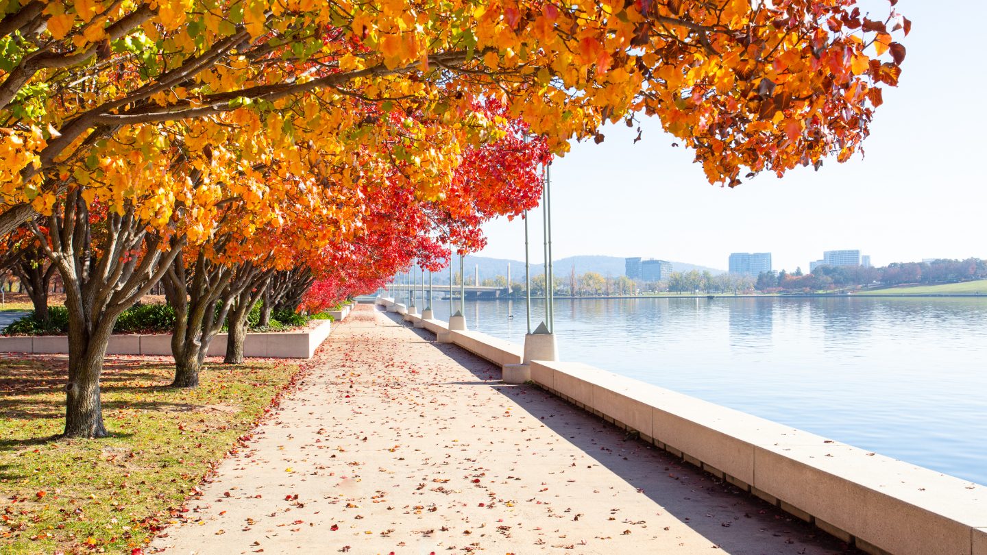 A walkway in Canberra.